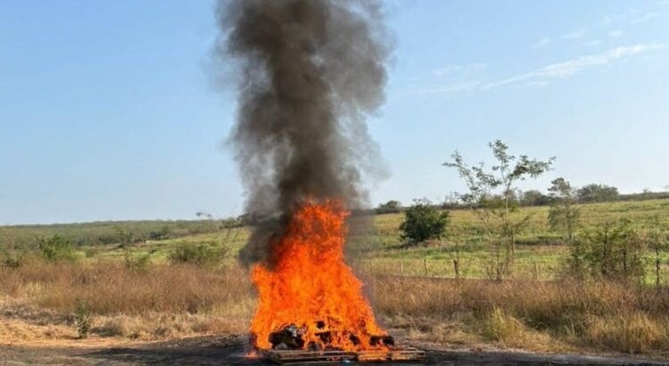 FGR destruye droga y equipo ilegal asegurado en operativos federales en Colima