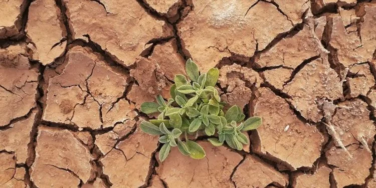 Se dirige el planeta hacia un catastrófico calentamiento de 2.5°C advierte la ONU