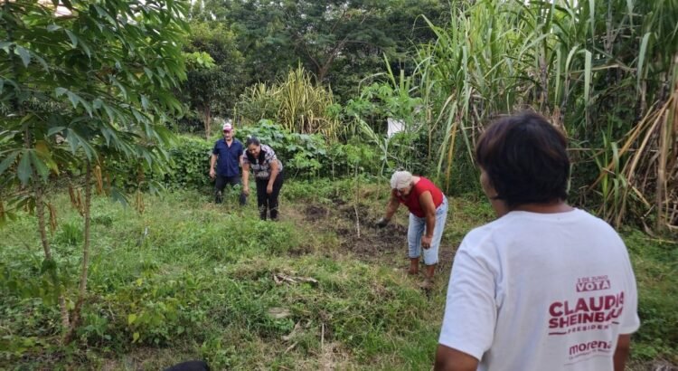 Importaciones agrícolas generan incertidumbre y pérdidas para el campo en Colima Importaciones agrícolas generan incertidumbre y pérdidas para el campo en Colima