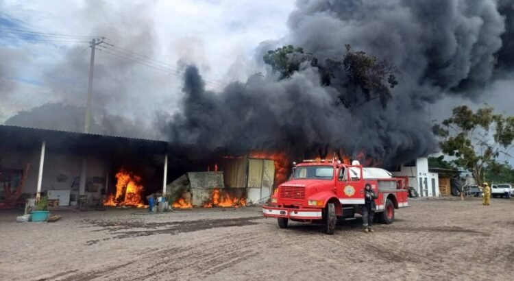 Incendio en empacadora de plátano en Tecomán, Colima