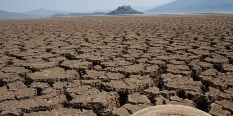 Cierra México el 2025 con 20.5% del territorio afectado por la sequía Cierra México el 2025 con 20.5% del territorio afectado por la sequía