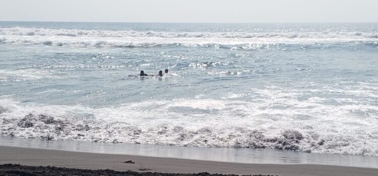 Playas de Colima cumplen normas sanitarias y se mantienen aptas para vacacionistas Playas de Colima cumplen normas sanitarias y se mantienen aptas para vacacionistas