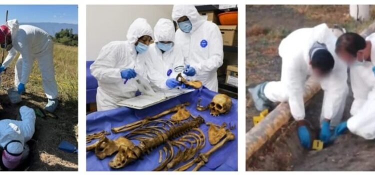 Identifican y restituyen más de 140 cuerpos en Colima durante un año