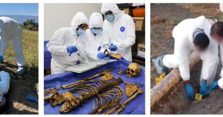 Identifican y restituyen más de 140 cuerpos en Colima durante un año